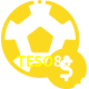 Aposte em esportes do mundo todo no TESO88!