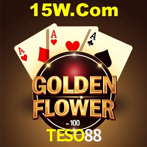 Interface Premium TESO88