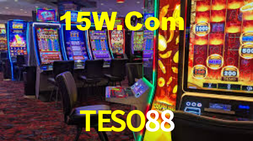 teso88