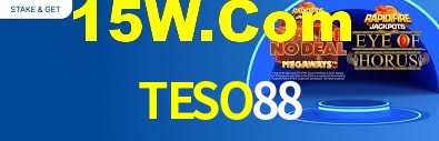 Premium Interface TESO88
