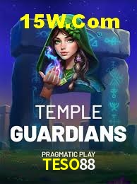 Experiência VIP TESO88