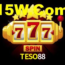 Programa VIP TESO88